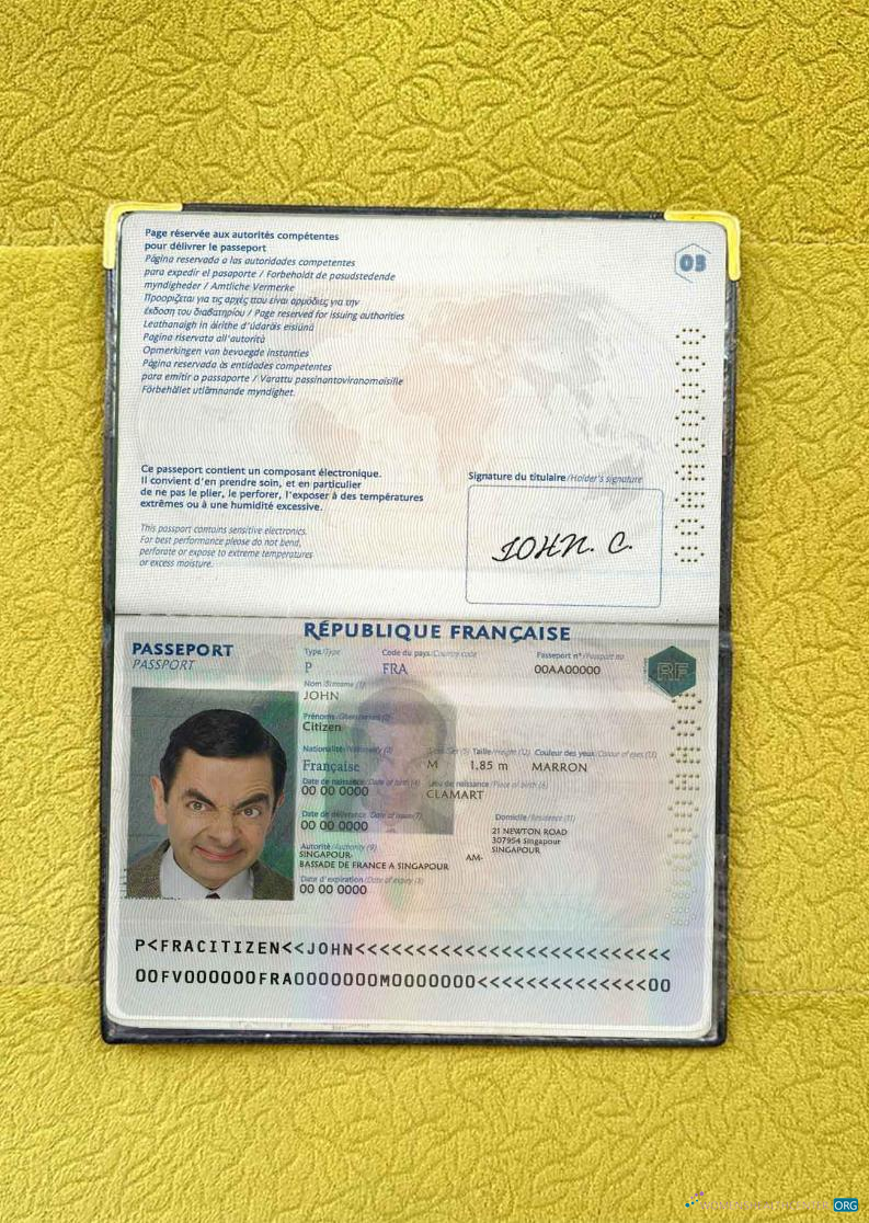 Download France passport photo look Photoshop template